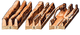 Entstehung eines Arches in vier Schritten