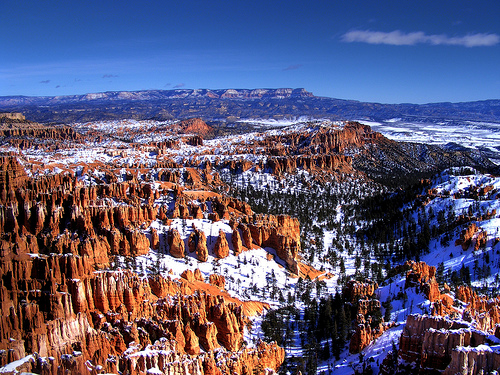 Im Winter bildet sich eine Komposition aus dem Blau des Himmels, dem rot der Hoodoos, dem saftigen Grn der Tannen und dem Wei des Schnees. <br/>Quelle: Christopher Isherwood auf Flickr