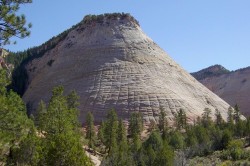 Die Checkerboard Mesa am Osteingang des Parks