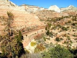 Der Mt Carmel Highway - man wei nicht wohin schauen: Auf die rot geteerte Strae oder auf die Umgebung